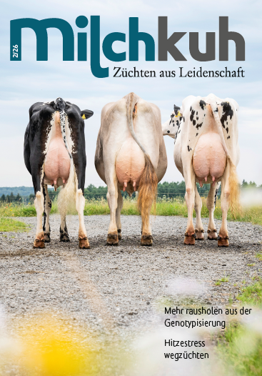 HOFdirekt Titelbild