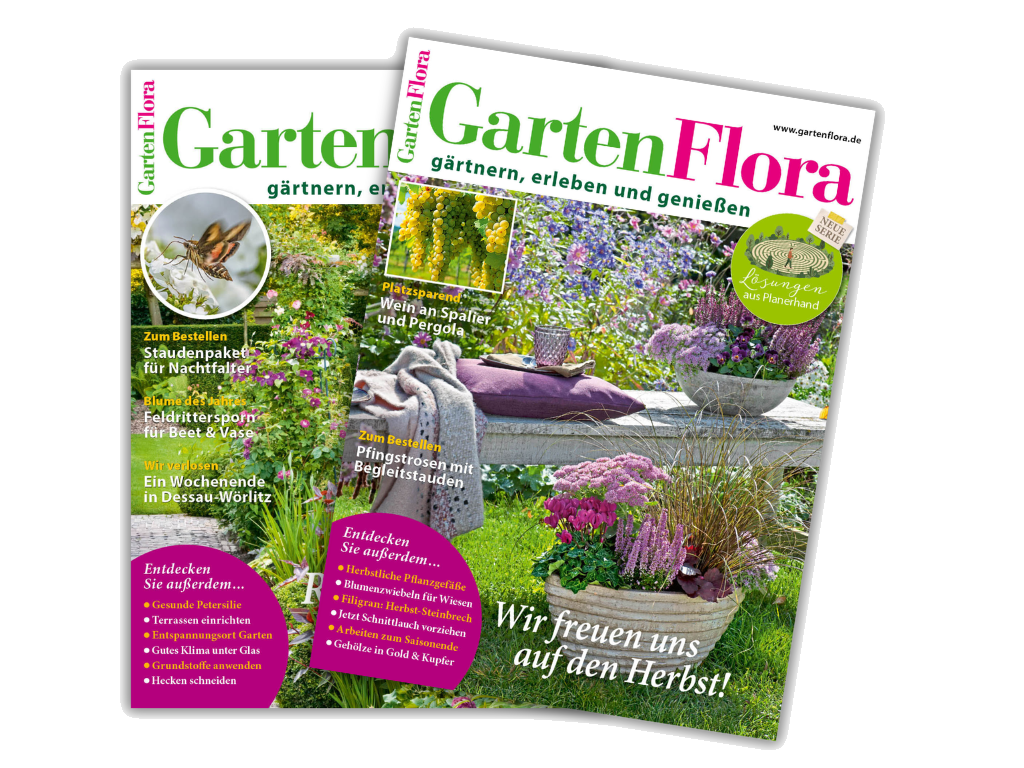 Zwei Ausgaben der Zeitschrift „GartenFlora“ mit farbenfrohen Gartenmotiven, Blüten und Sitzbereich. Die Titel thematisieren Gartengestaltung, Pflanzenpflege, Stauden, Gemüseanbau und saisonale Gartenarbeiten.