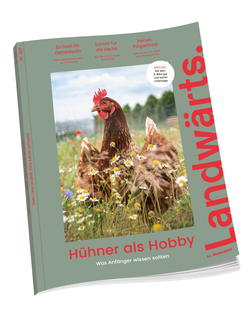 Titelseite des Magazins „Landwärts“ mit einer Henne auf einer Wiese. Themen sind Getreidesilo, Heckenschnitt, Fingerfood, E-Bike-Fahren und Grundlagen der Hühnerhaltung.